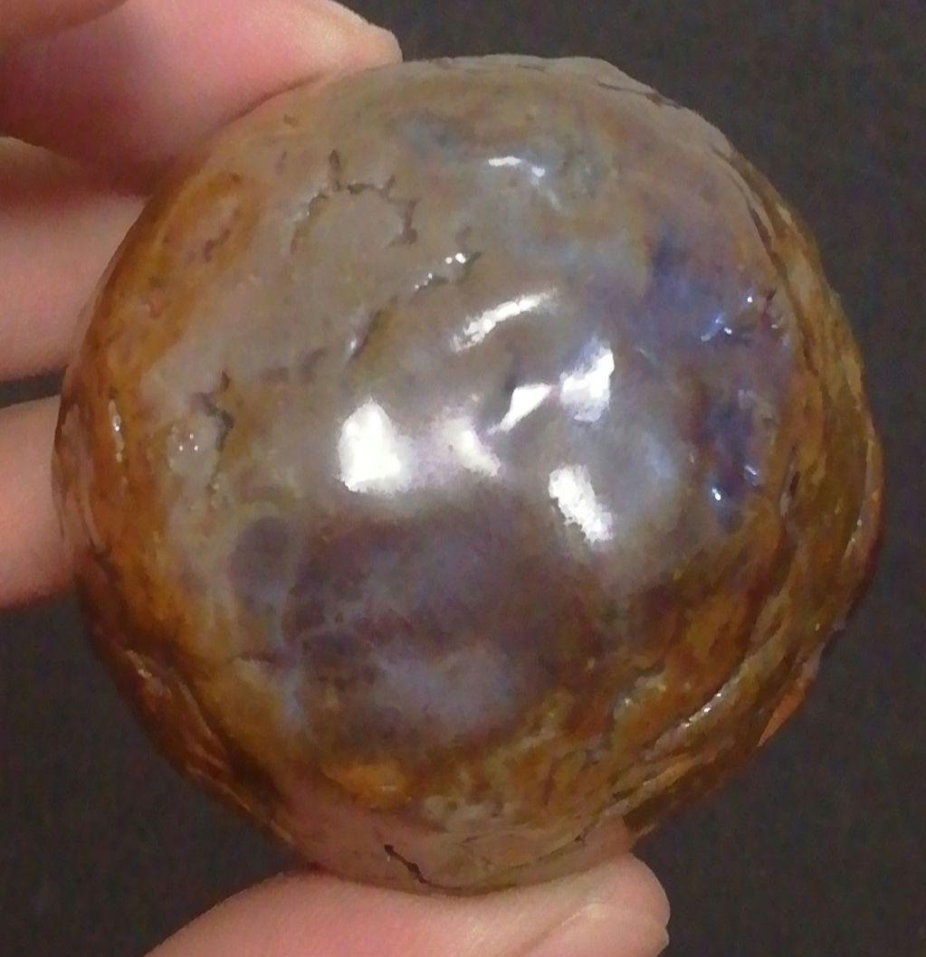 覚々斎？書付　楽焼　梅　香合　共箱　茶道具