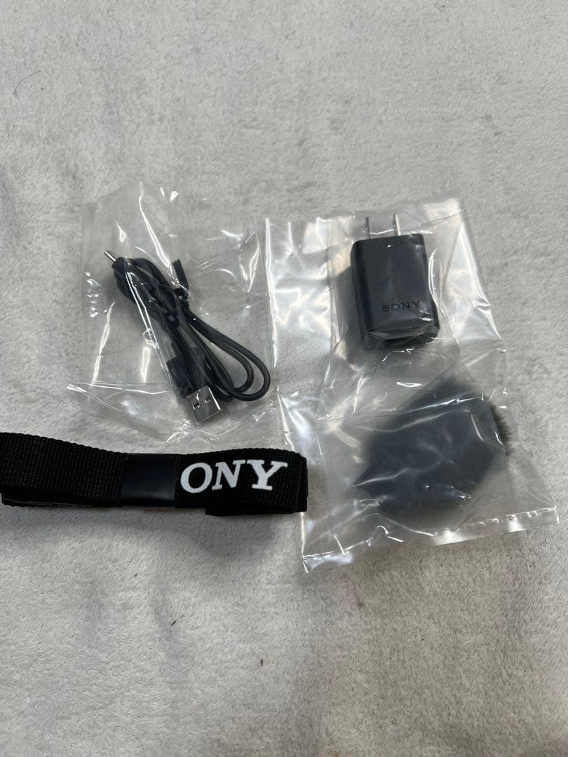 SONY ZV-E10 レンズキット　美品