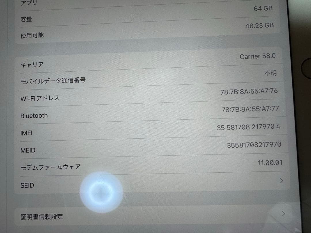 iPad本体 iPad Pro 10.5 64GB Wi-Fi + Cellular