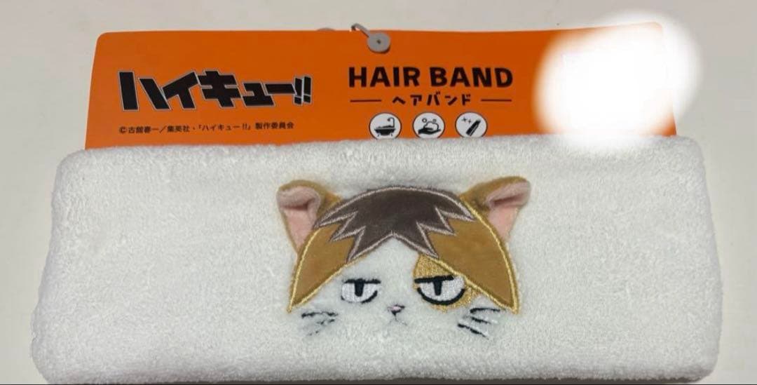 ワイです。 ハイキュー　しまむら　ヒナガラス　烏野高校　エコバッグ　他