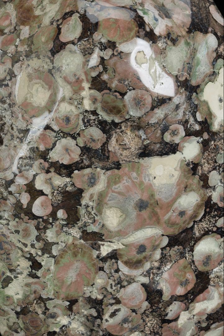 紅梅 梅花石 台付 12.1kg 鑑賞石 自然石 水石 原石 天然石 盆石 飾石