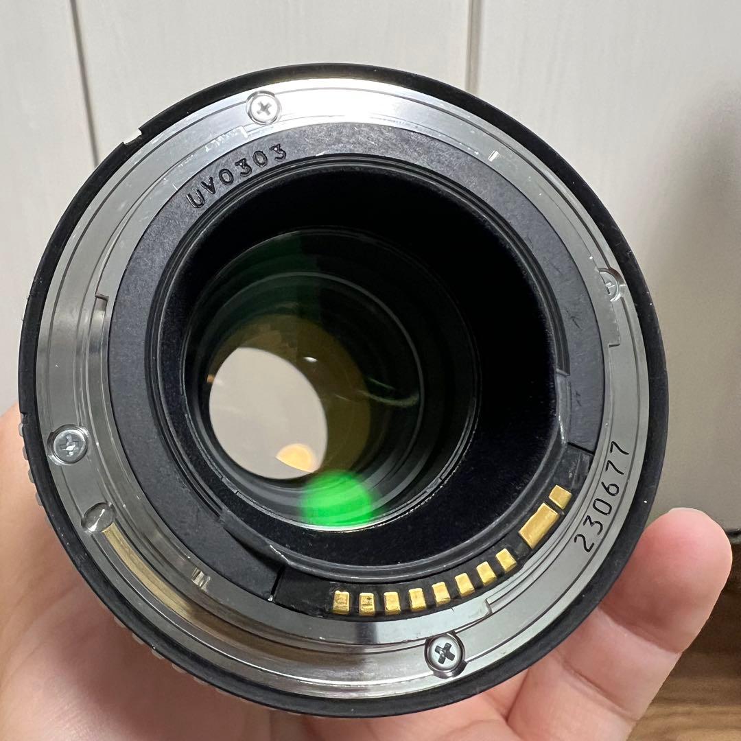 くま　CANON EF70-200mm F4L IS USM　キヤノン