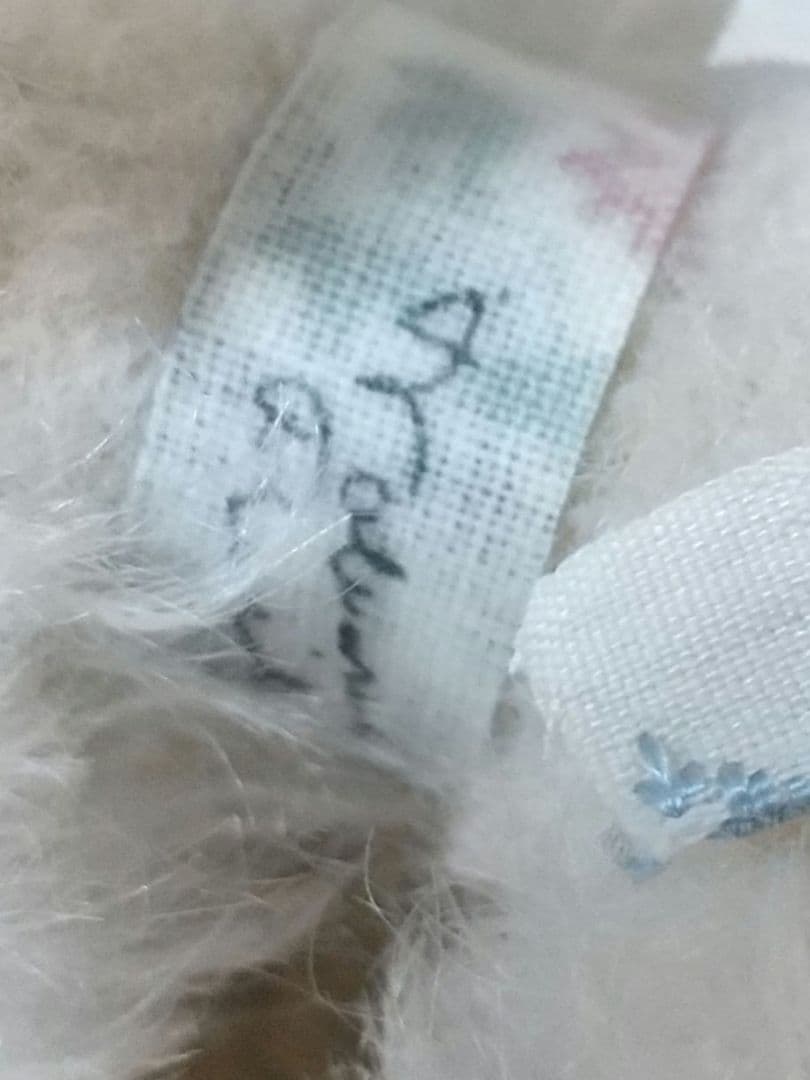 ♡野ばら社作家ぬいぐるみ作家ベア白プードルアーティストベアわんこ犬