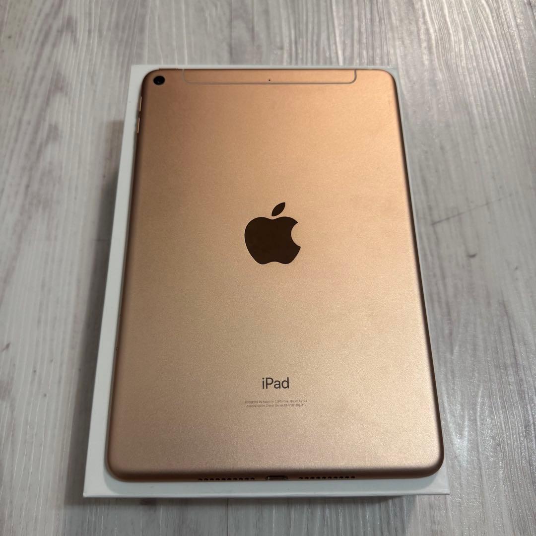 Apple iPadmini5 256GB SIMフリー 第5世代 ペンシル付