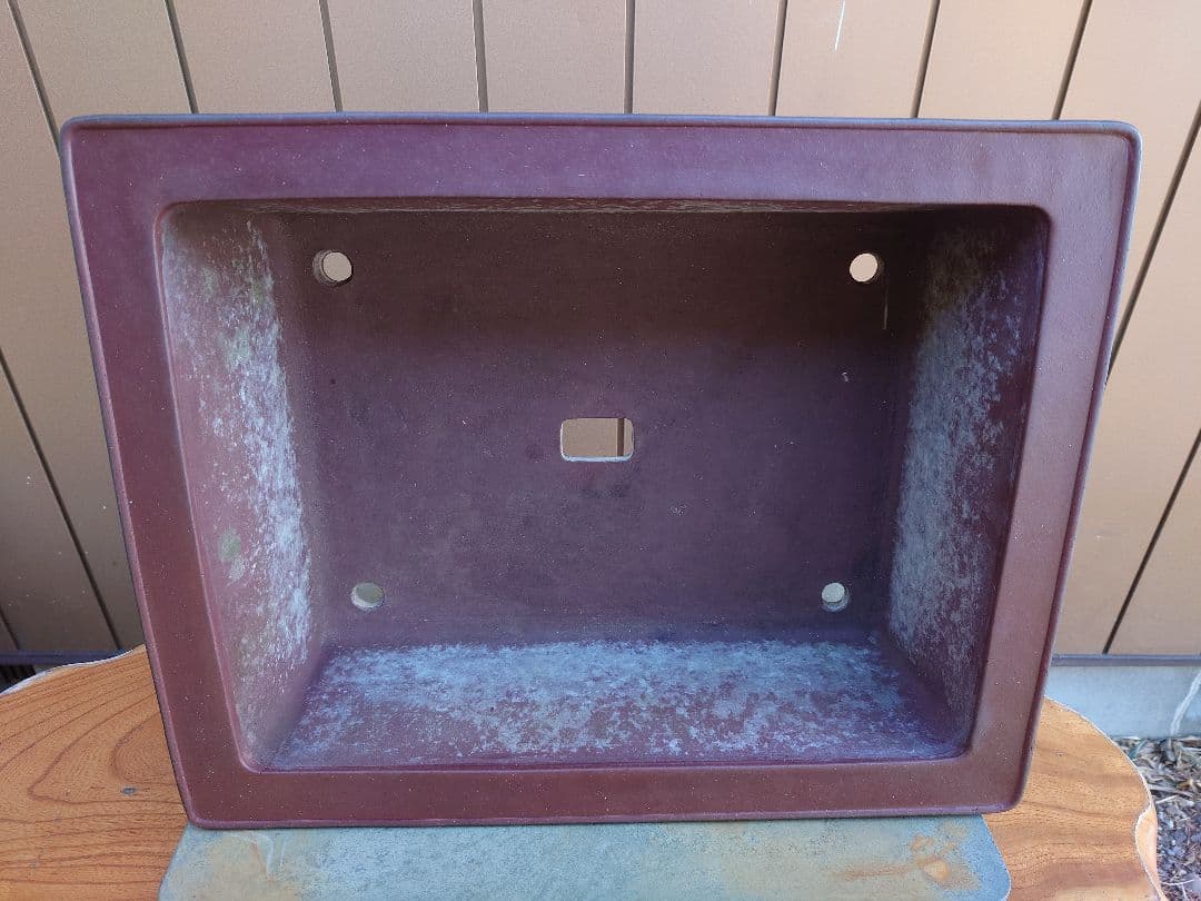 盆栽　鉢　佳山　幅52.3cm