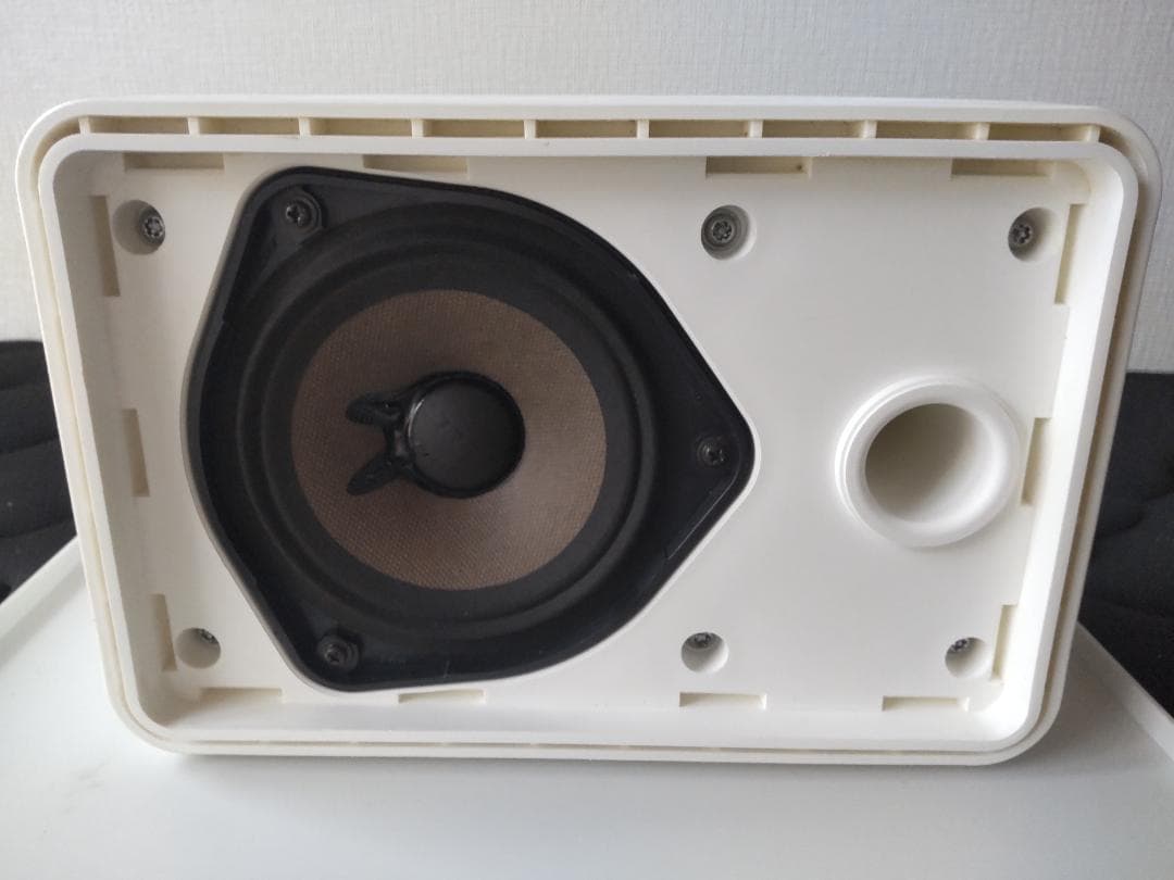 BOSE 101MMW スピーカーシステムペア