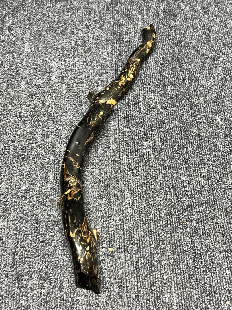 黒珊瑚　深海松　原木　長さ；35センチ H 1-1