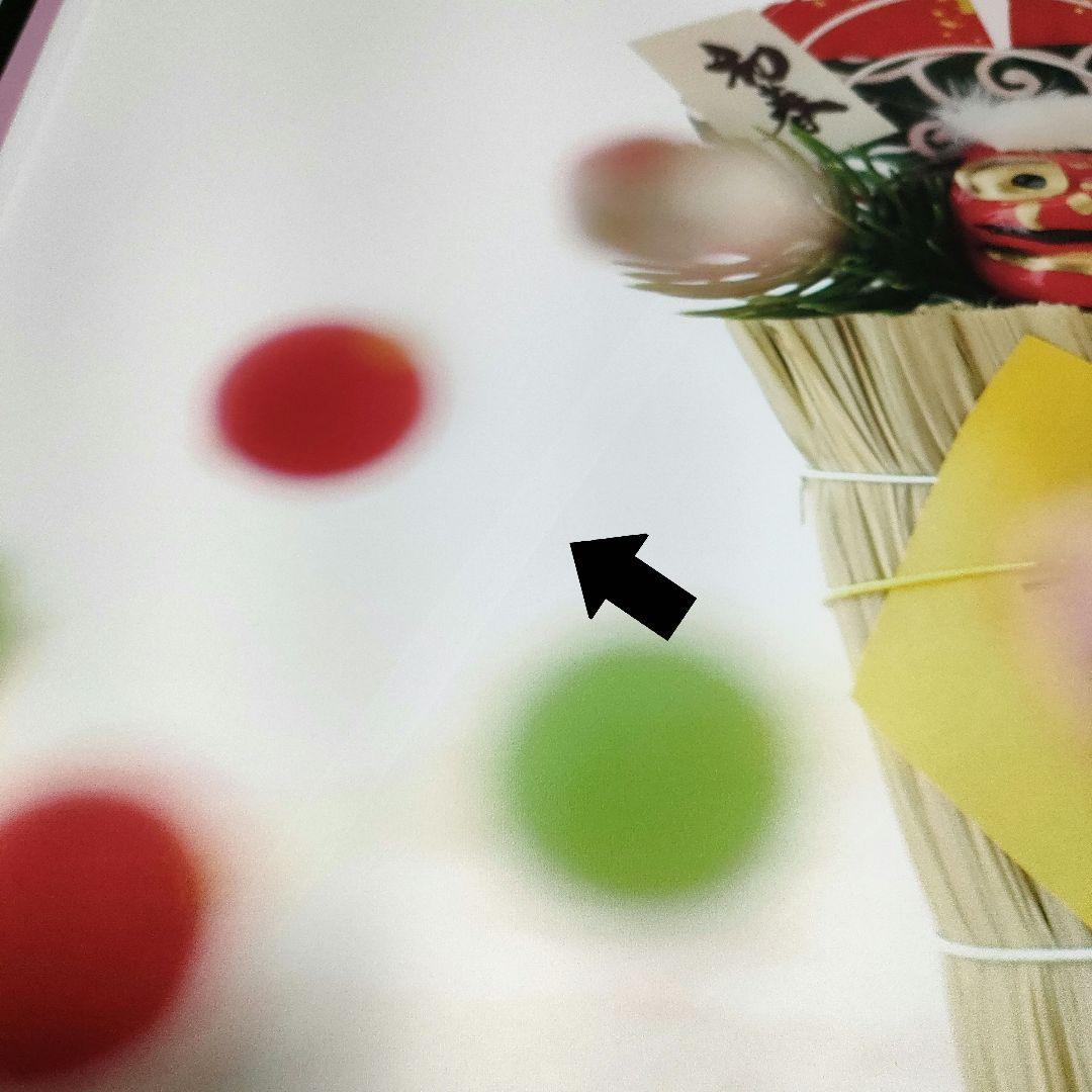 背景布×7+1　ペット撮影用ブース　トリミングチョーカー販売中　　夏　秋　お正月