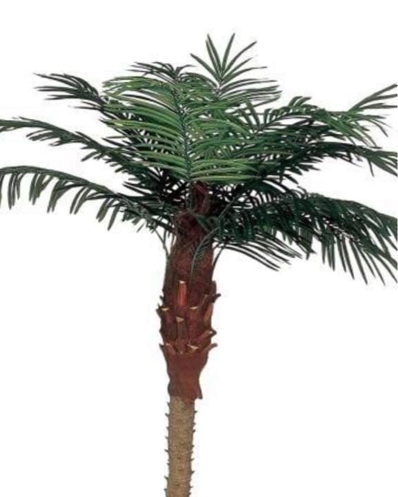 光触媒　人工観葉植物　ウォールグリーン　フェイクグリーン　フェニックス1.8m