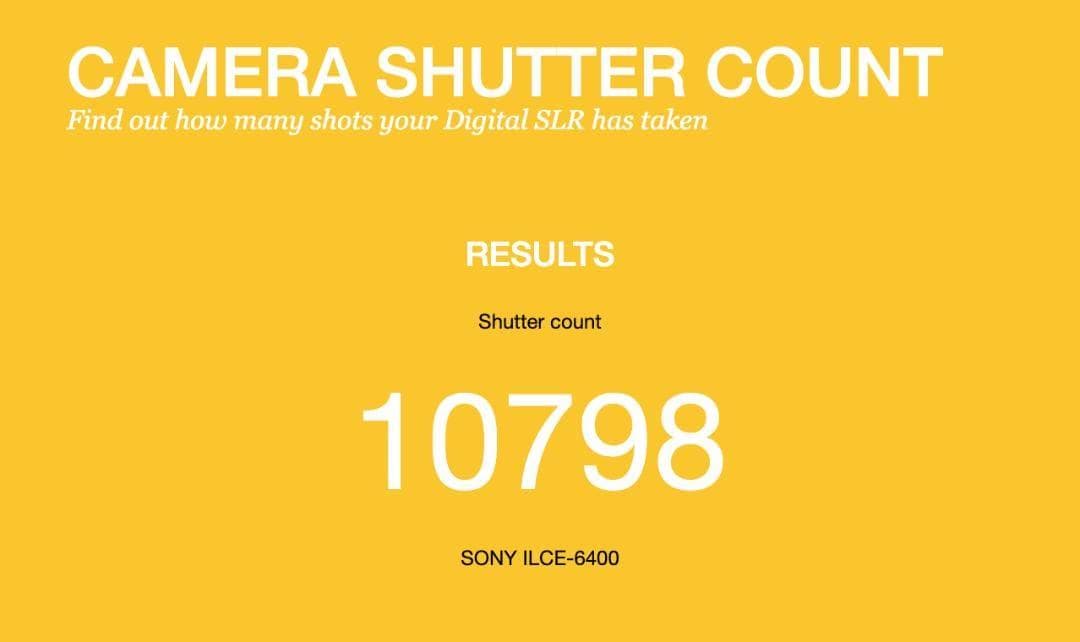 運動会撮影で愕然としたあなたへ α6400 ダブルズーム SONY ミラーレス