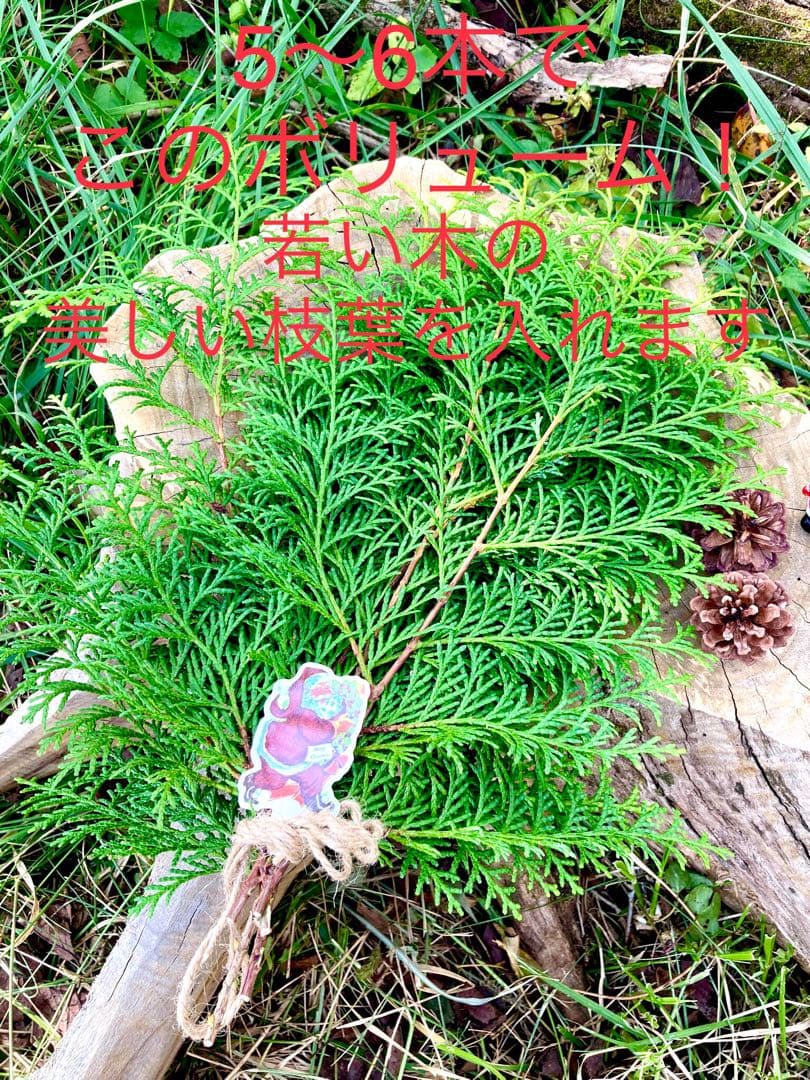 クリスマスリースやスワッグに！【天然檜/ヒノキ】花材/森林浴/ヒノキ風呂にも♪