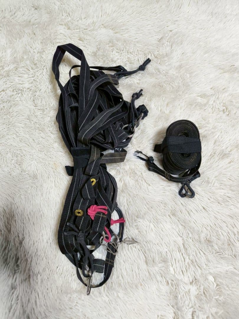 小川　ogawa キャンパルジャパン　ティエラワイドⅡ　　タープテント