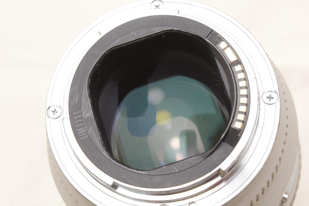 棘 (トゲ) Canon EF 70-200mm 1:2.8 L