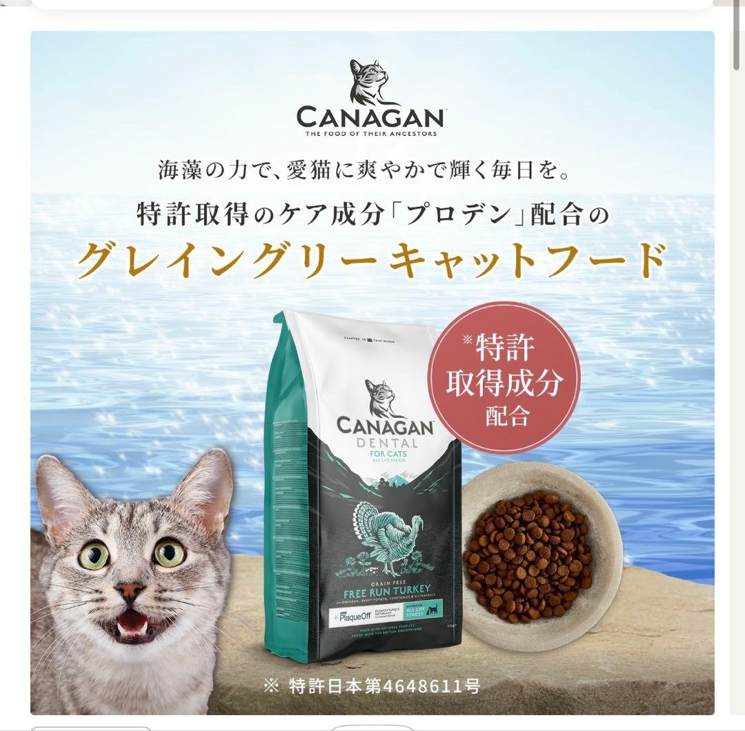 未開封　CANAGAN DENTAL デンタルキャットフード 1.5kg × 2