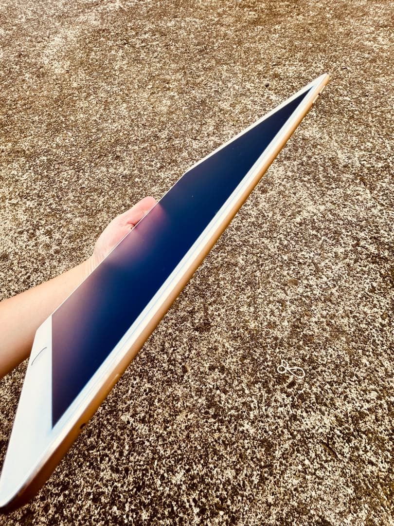 m*e様 iPad Pro 10.5インチ 256GB