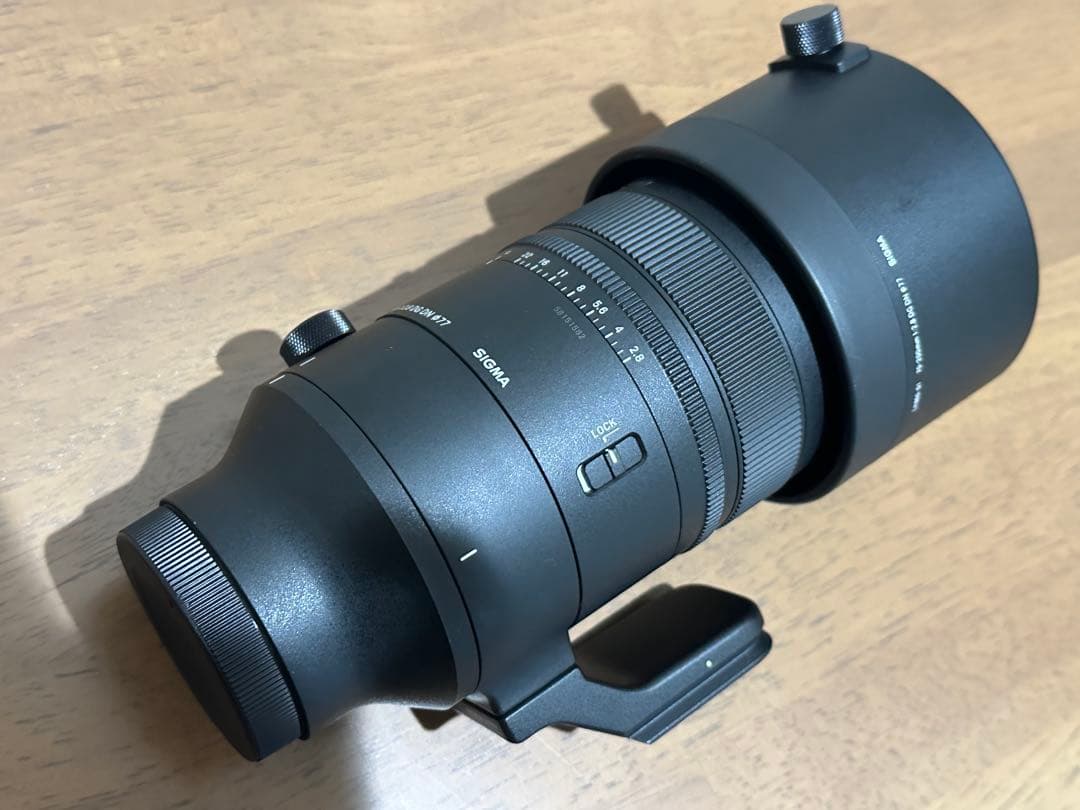 シグマ Sports70-200mmF2.8 DG DN OSソニーEマウント
