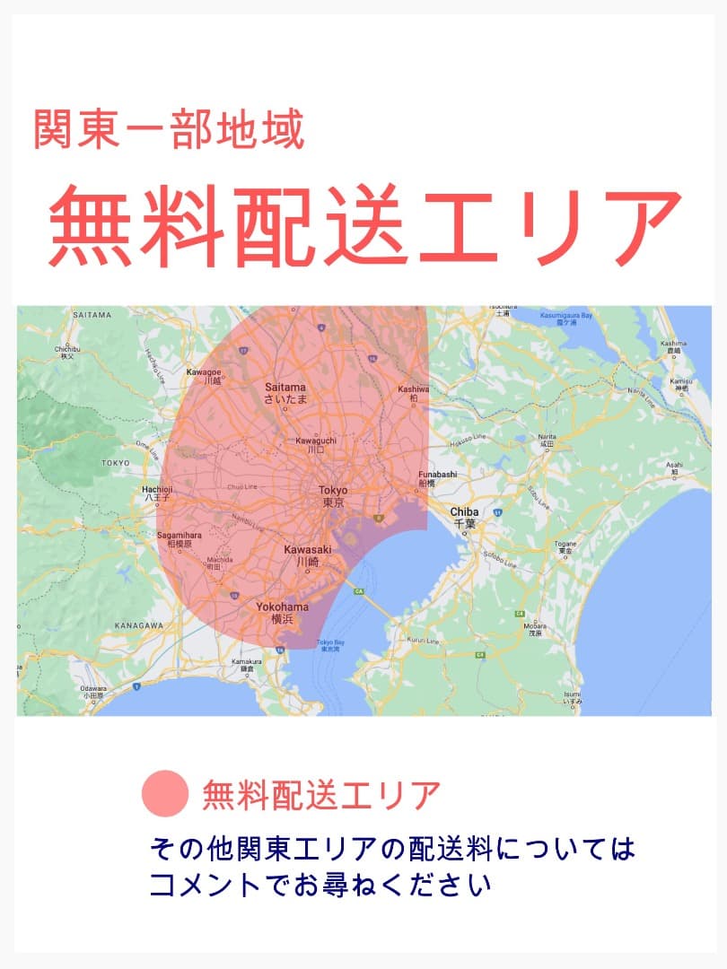 超人気！BIKKE ビッケ13AH！⭐️ブリヂストン子供乗せ電動自転車Y3104