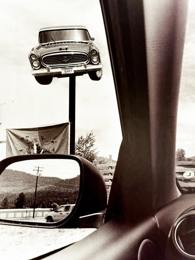 Lee Friedlander ポスター