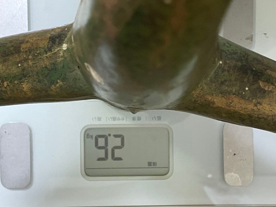 太陽の塔　岡本太郎　１９７０年