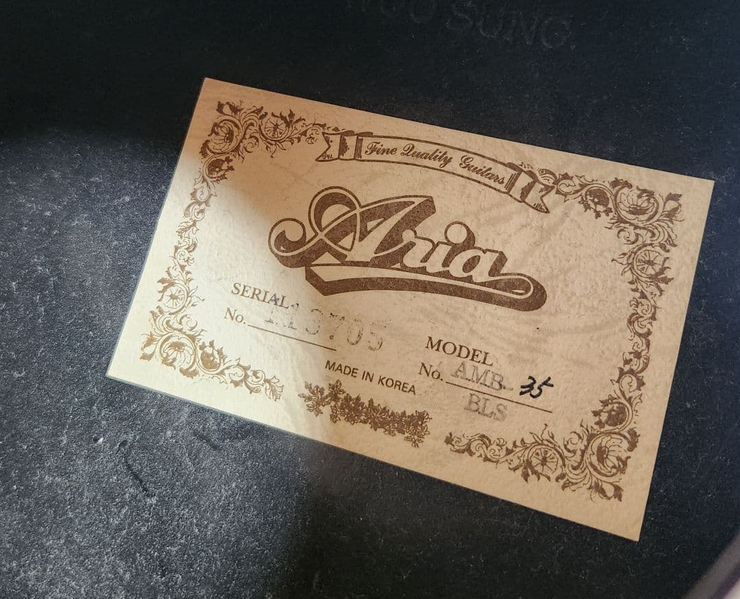 Aria アコースティックギター エレアコ AMB-35 BLS ハードケース