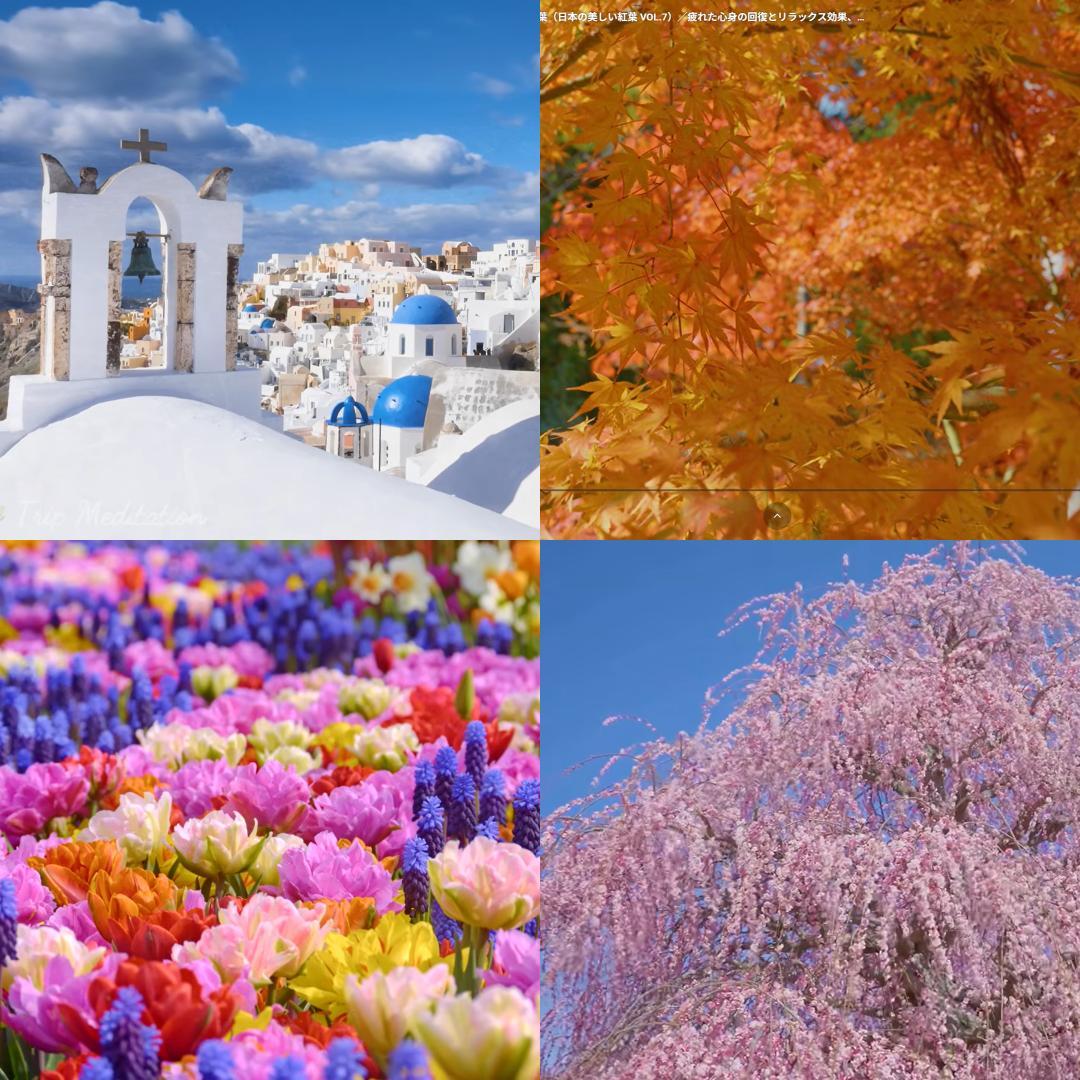 第8世代ＤynabookEX/5GG i5-8250U SSD256G M16G