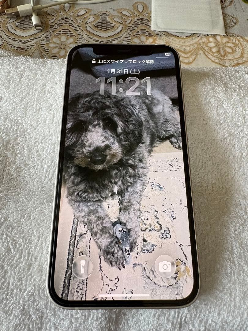 Apple iPhone 12mini 64GB ホワイト 本体 美品❗️