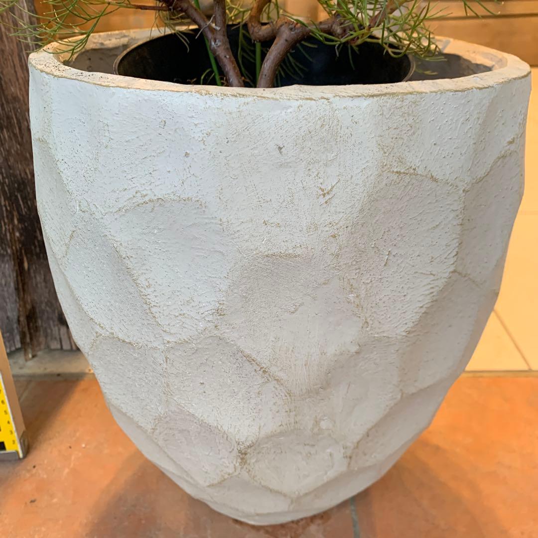 セルリア プリティピンク ファイバー鉢