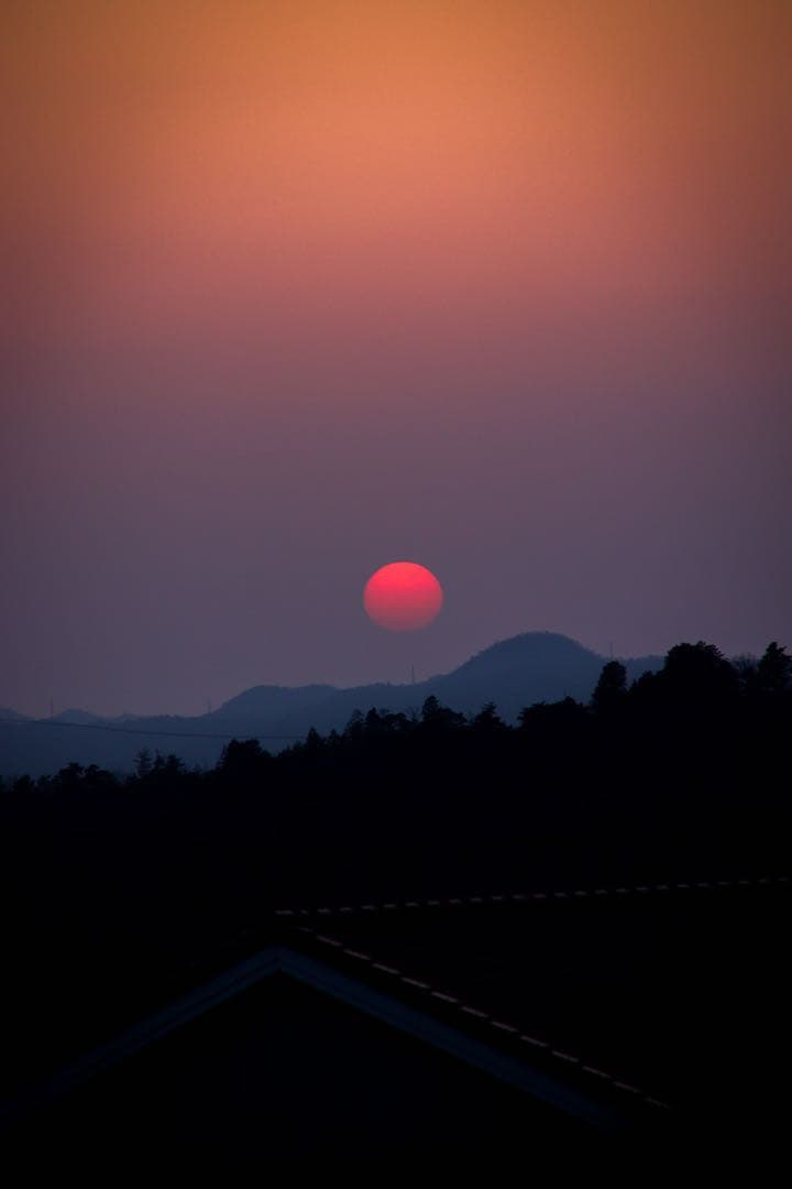 【高倍率ズームレンズ】SONY FE24-240mm F3.5-6.3 おまけ付