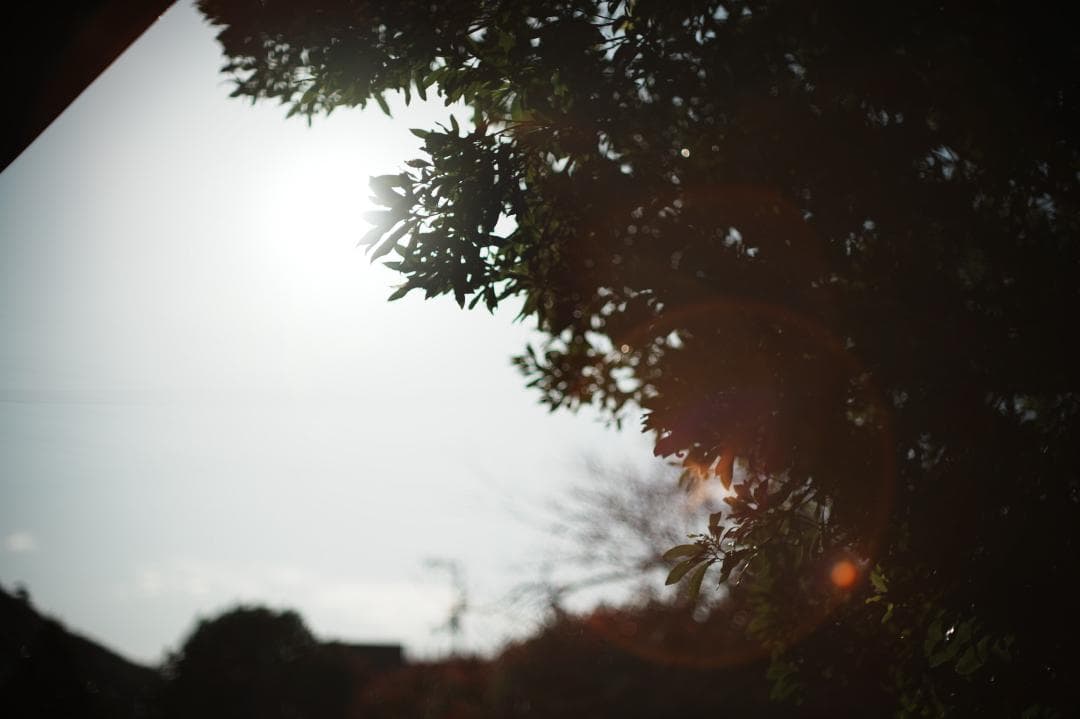 【伝説の幻玉】Canon FD 55mm F1.2 S.S.C ASPH 215