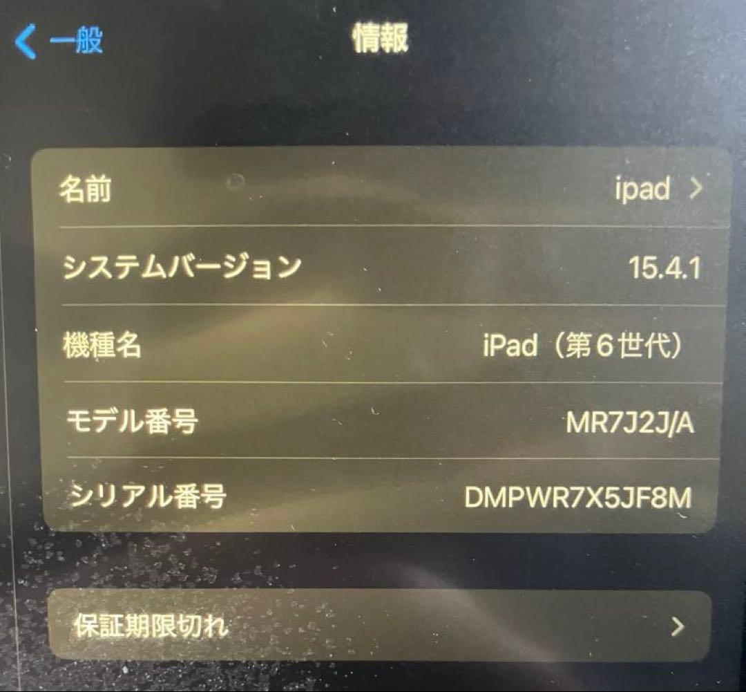 ジャンク iPad (第6世代)128GB/Apple Pencil付属