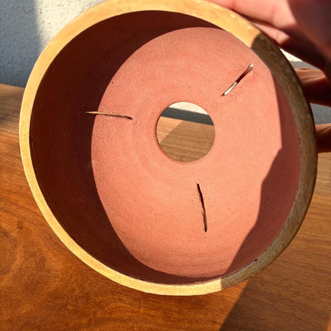 沼野秀章 / 刻ム音 / 5号　新品未使用　アガベ　グラキリス