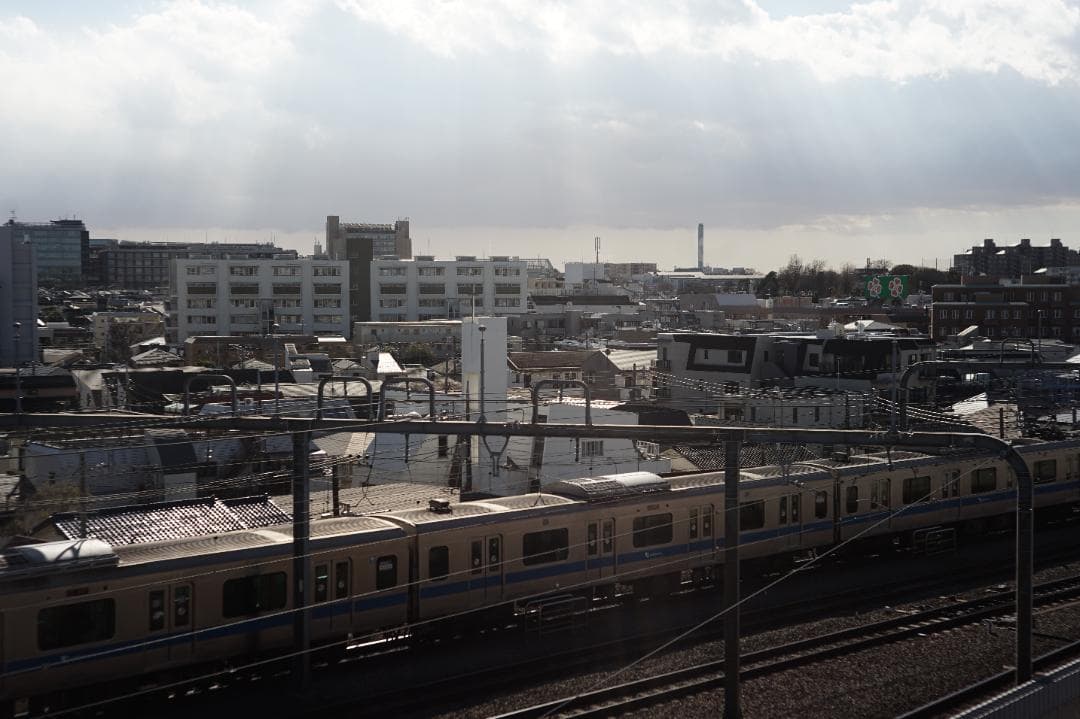 Zeiss Opton Sonnar 50mm f2 ＋マウントアダプター