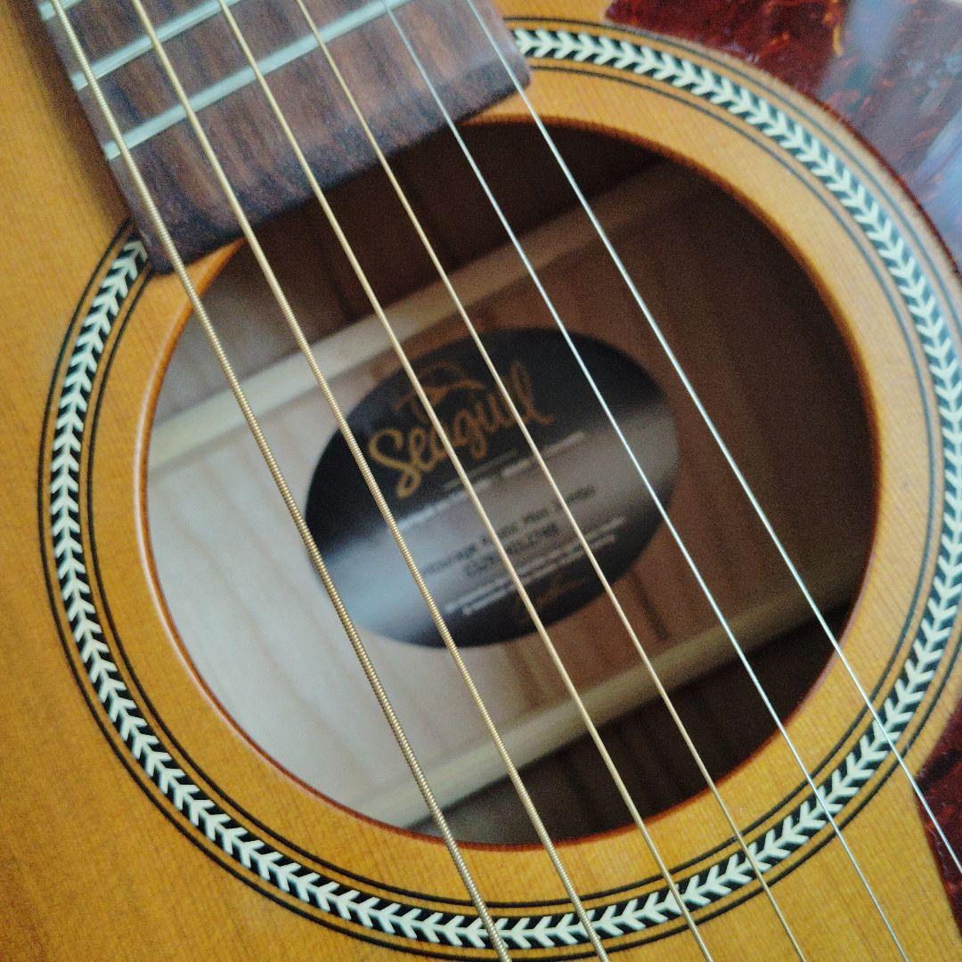 Ｓeagull（シーガル）アコースティックギター 、Mini Ｊumbo