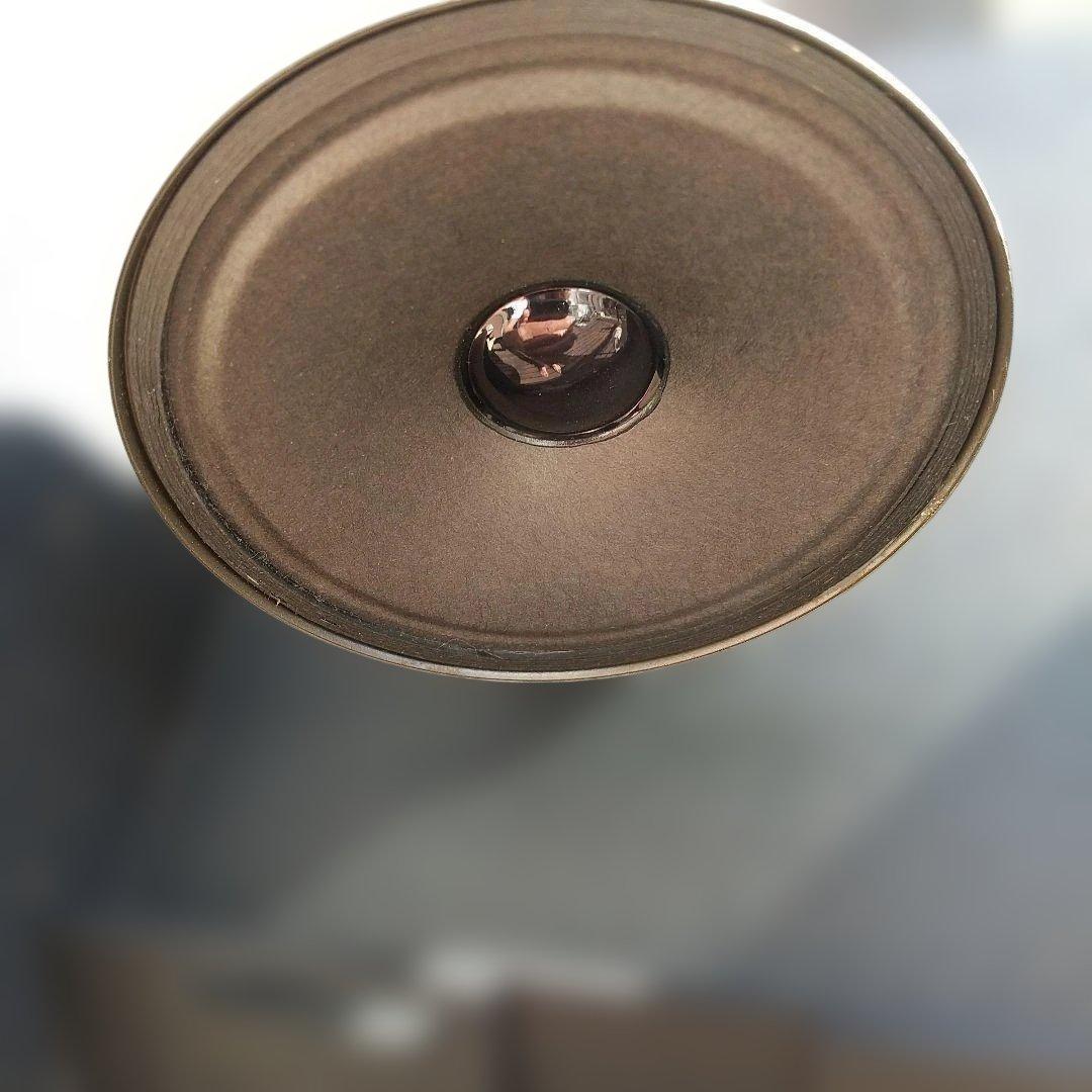 スピーカー・ウーファー BOSE 301-AV MONITOR