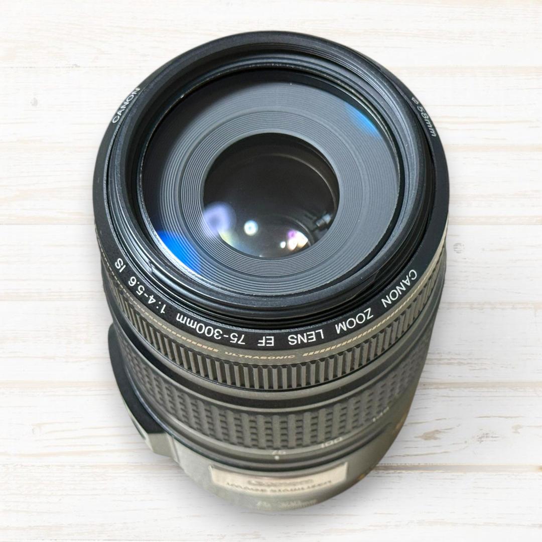 Canon 望遠レンズ EF 75-300mm IS USM #137
