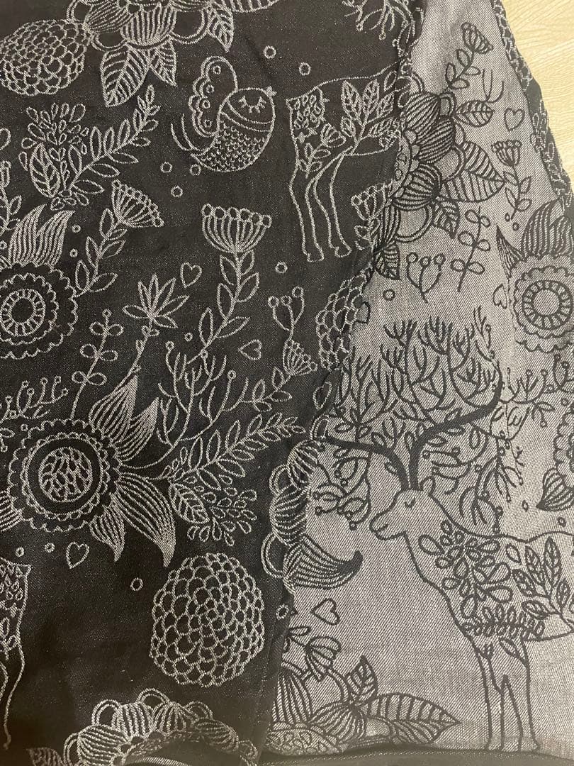 didymos 森の朝　ディディモス