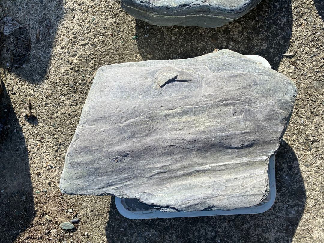 阿波の青石 飛び石 ７枚 庭石 希少