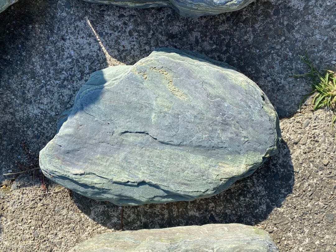 阿波の青石 飛び石 ７枚 庭石 希少