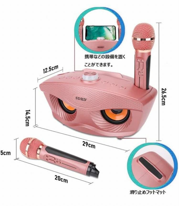 齋藤舞　カラオケ マイク  ワイヤレス マイク 2本 無線 接続