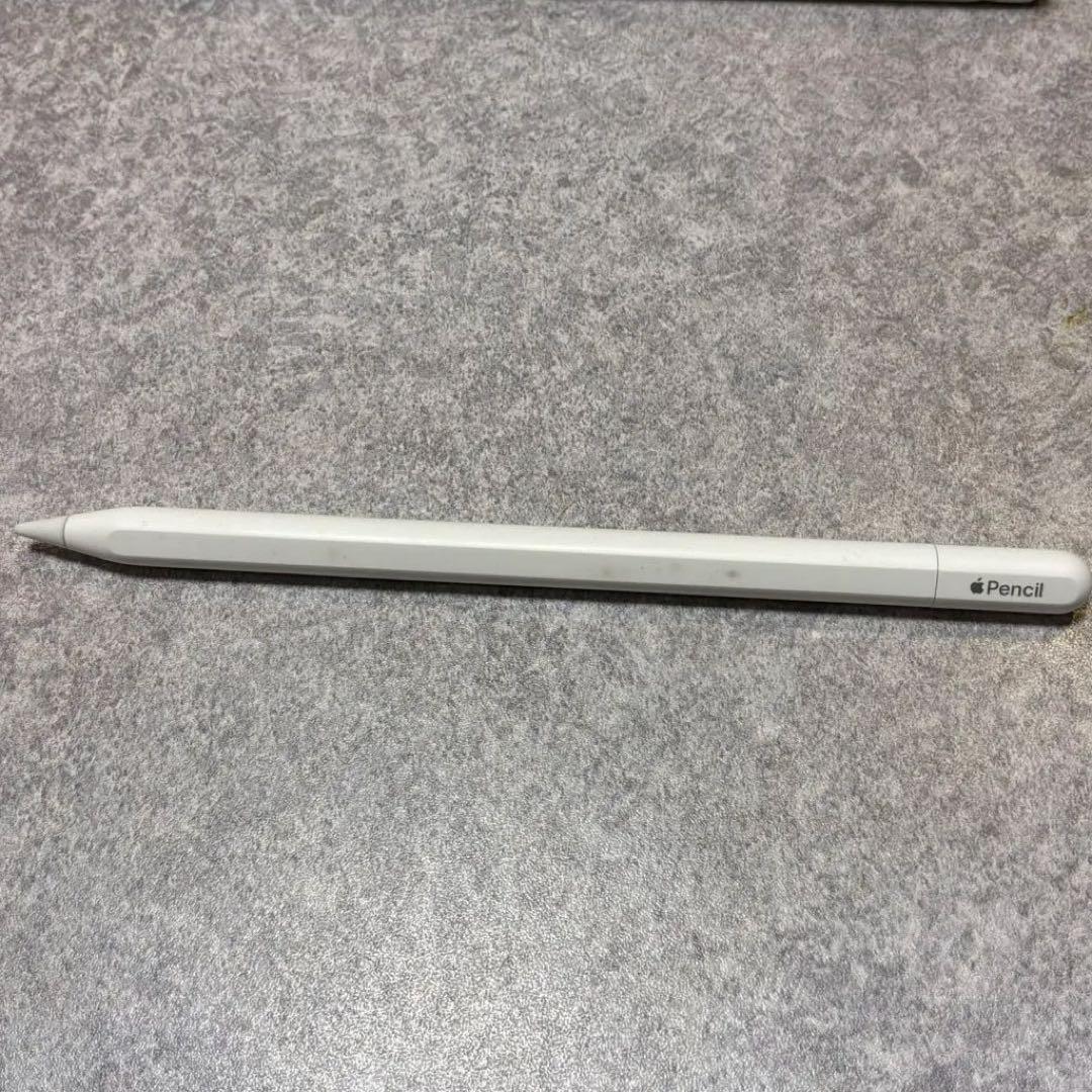 Apple pencil USBーC 本体のみ　アップル　ペンシル