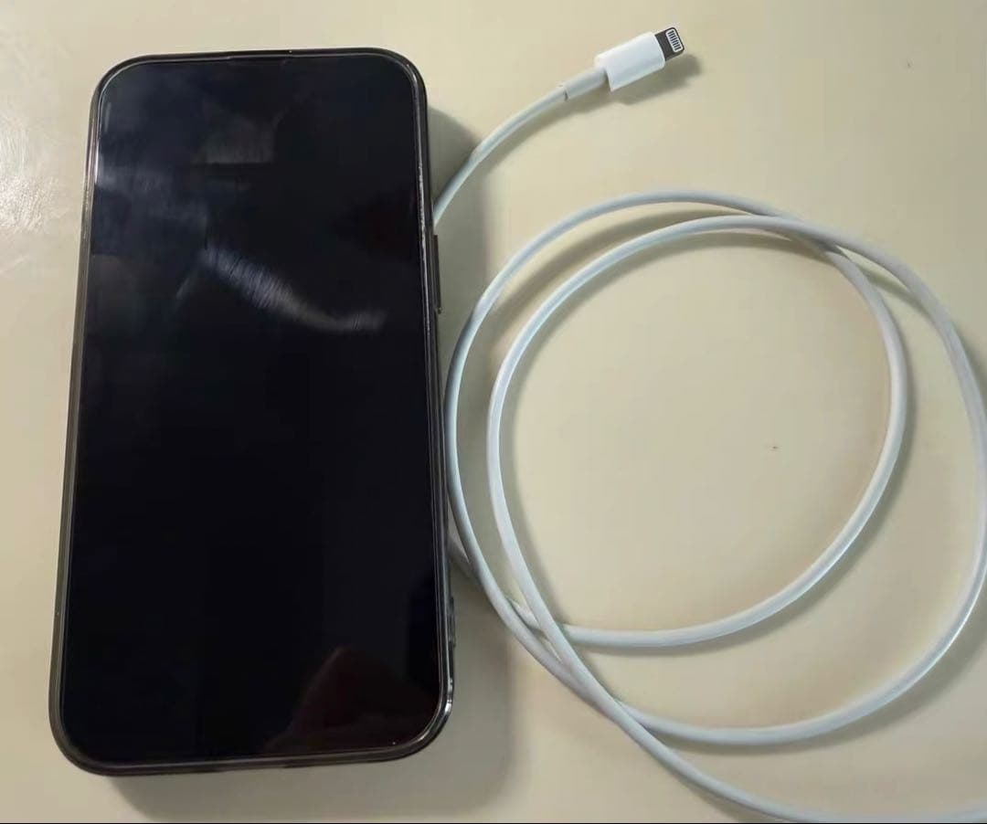 【カナダ版】iPhone 13 Pro 128GB グラファイト 美品