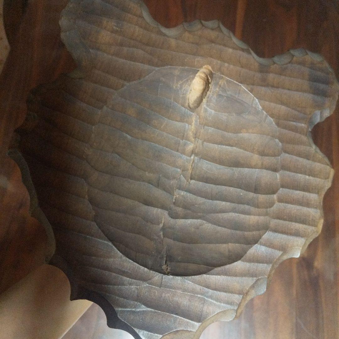 北海道、ジンギスカン、熊の置物、釧路、