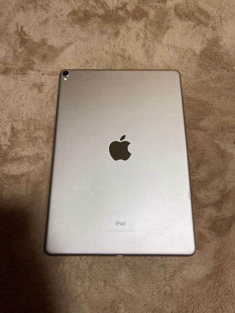 Ipad Pro10.5インチ大容量256GB Wifiモデルバッテリー99%