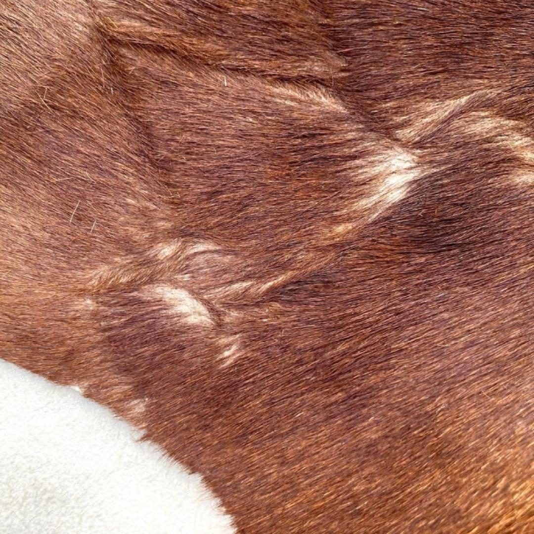 【入手困難】特大250×230牛革ハラコラグ★グランピングお籠もりキャンプにも！