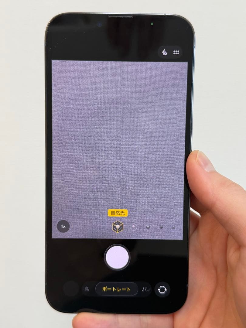 【28日まで】Apple iPhone 13 Pro 256Gシエラブルー 本体