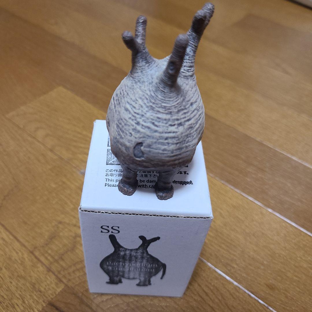 オーナメント・オブジェ OZWRT SS Pachypodium Graciliphant