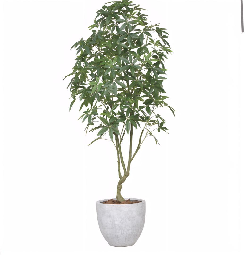 光触媒　人工観葉植物　フェイクグリーン　ナチュラルパキラ2.5