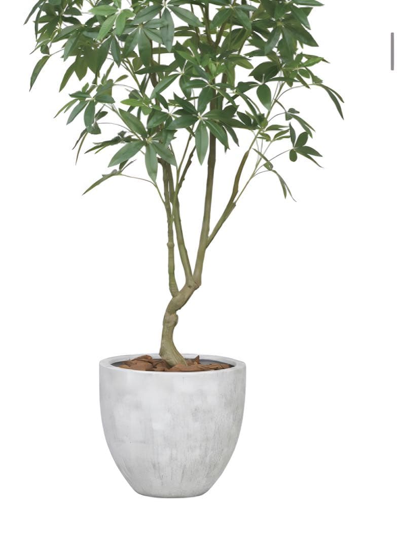 光触媒　人工観葉植物　フェイクグリーン　ナチュラルパキラ2.5