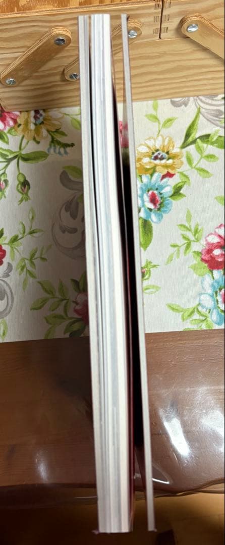 菅田将暉　小松菜奈　写真集　FF0921