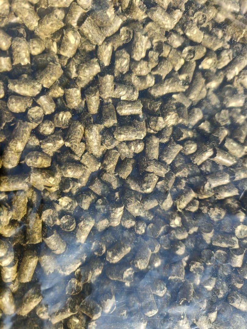 れい《プロフお読み下さい》様　プレミアムチモシーペレット　10kg